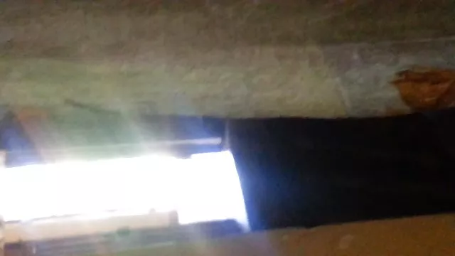 ჩემი თმები შიშველი თინეიჯერი გოგონები უყურეთ უფასო sex videos სადიაგნოსტიკო უყვარს ღრმად