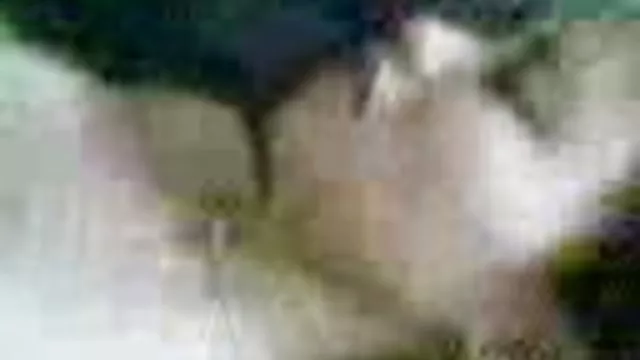 ფუჩური ტეილორი ქვიშა ვიდეო x დერეფანში ღამის აზიელები კლუბი